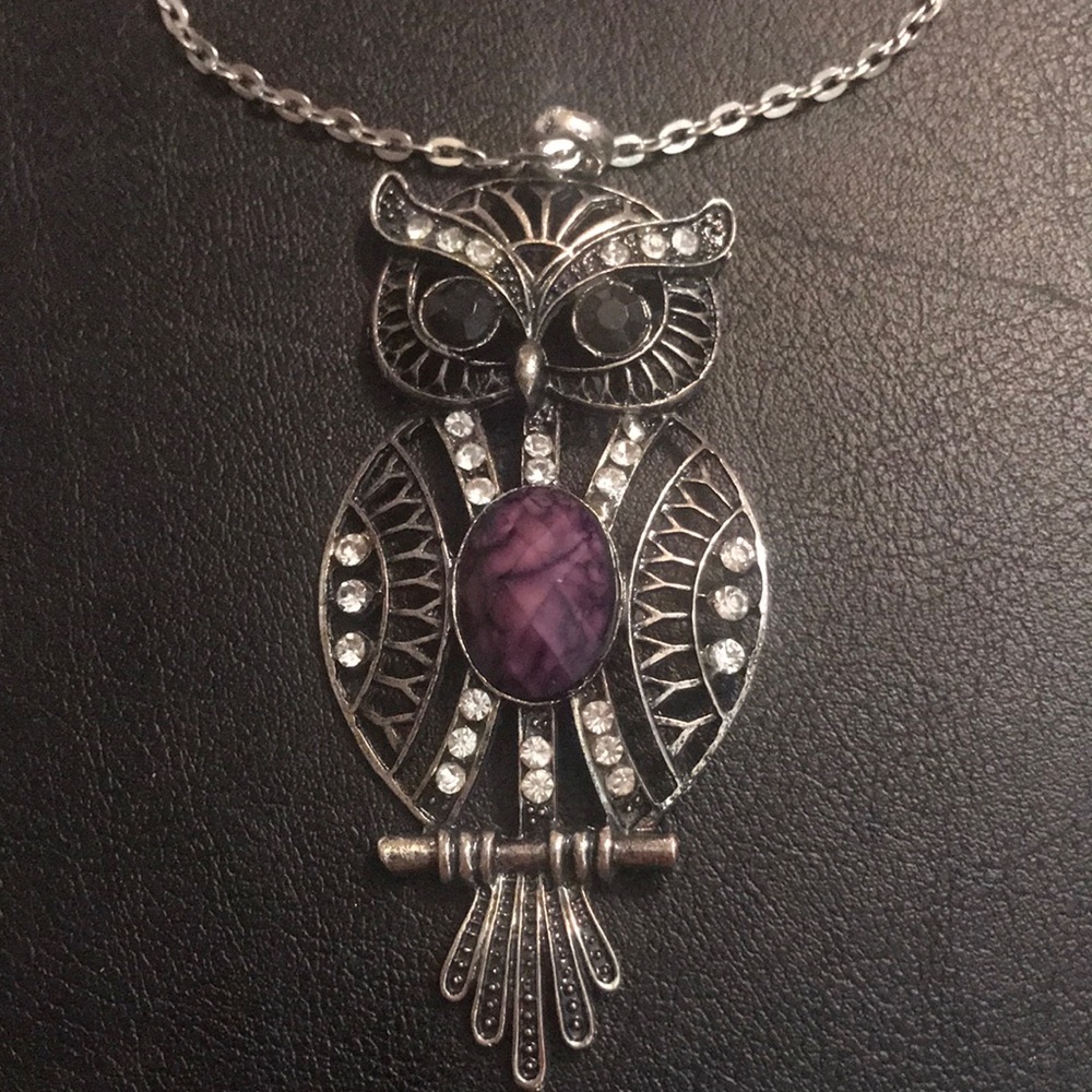 OWL w purple stone long silver link chain